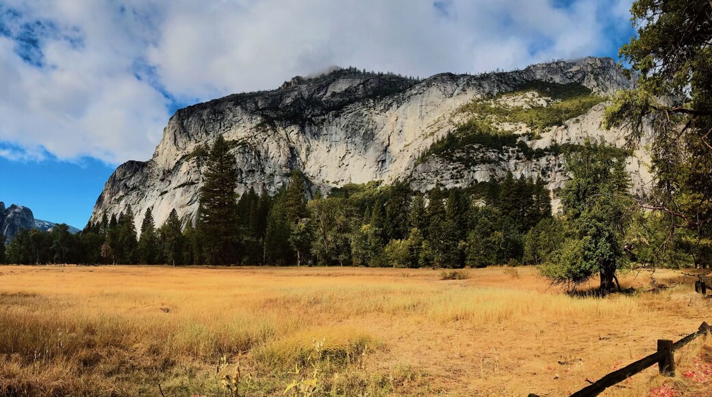 Tuolumne