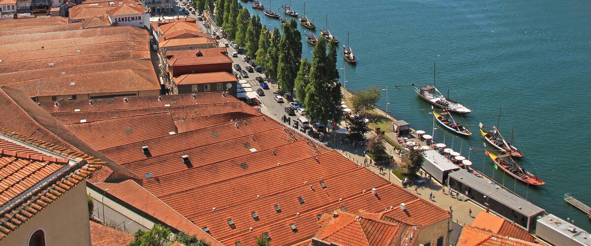 A coastal town with terracotta-roofed buildings, a marina with boats, and a tree-lined promenade.