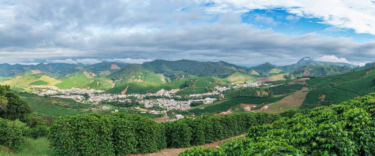 A lush valley with terraced coffee plantations and a small town nestled among rolling hills.