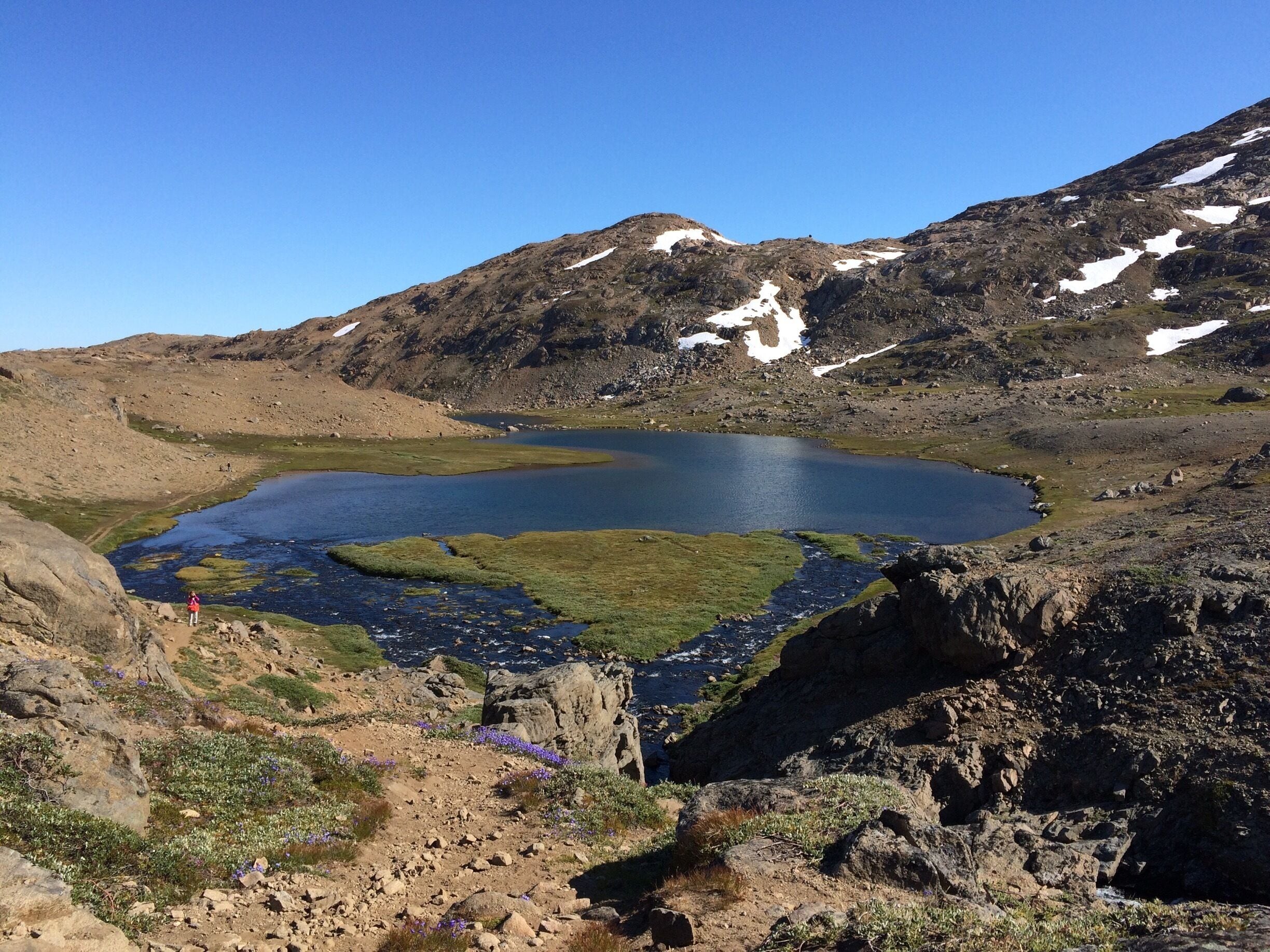 There are only 2-3 months in a year to take this hike: The Flower Valley in Greenland shows off all its beauty in summer #greenland #takeahike