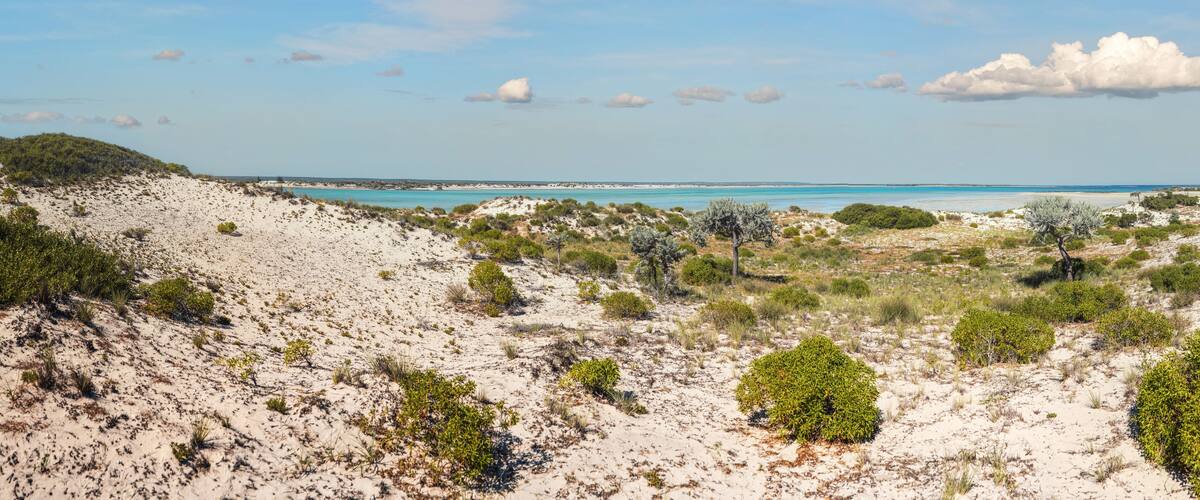 A coastal landscape with sandy dunes, sparse vegetation, and a distant view of the sea.