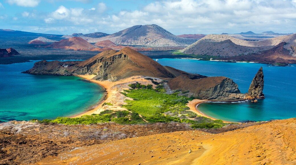 View from Bartolome Island