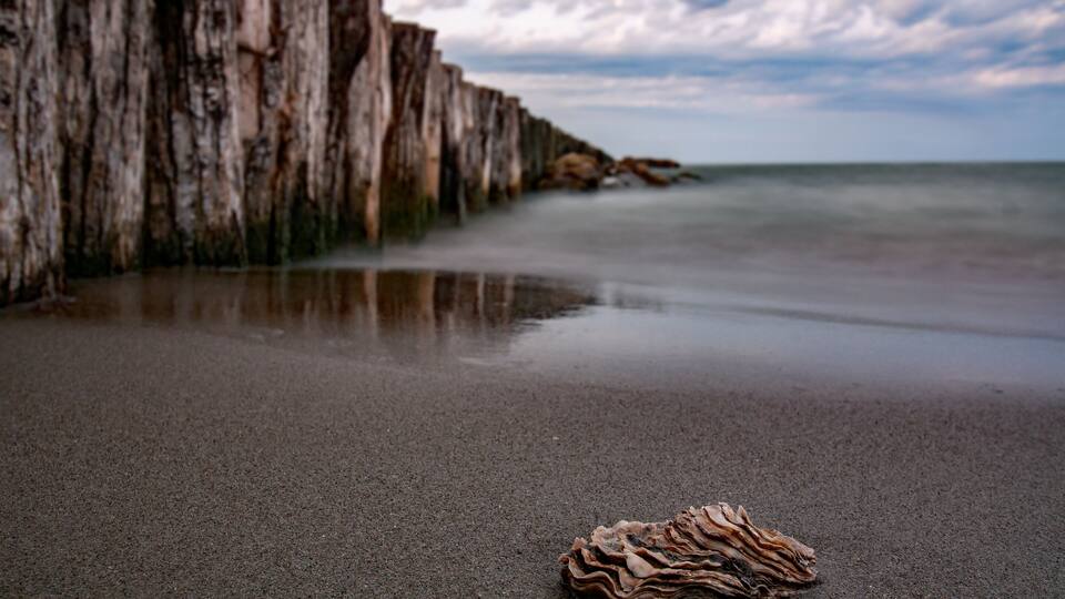 A beach with a large rock formation in the background and a piece of driftwood on the sand.