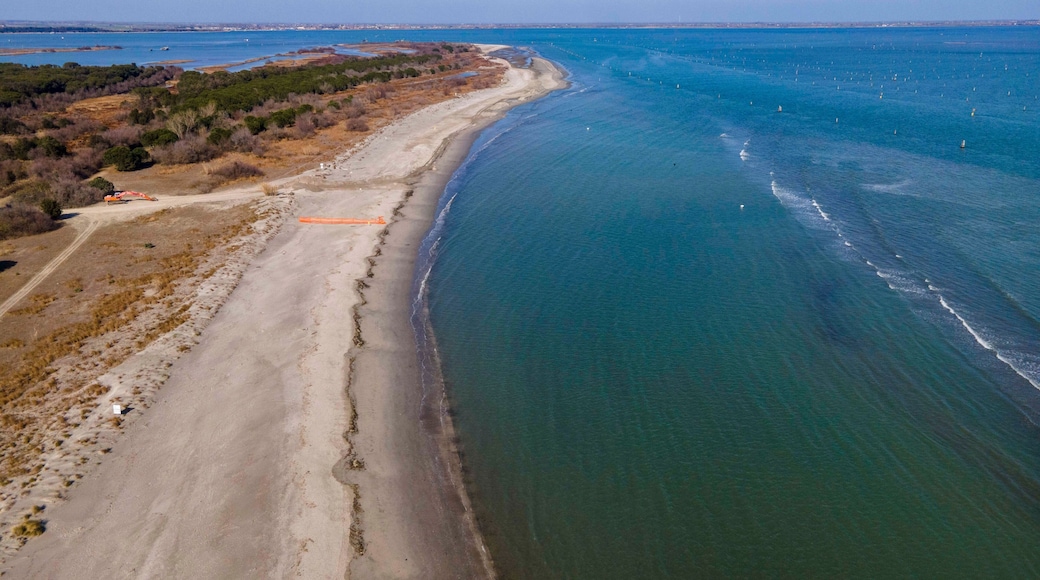 Aerial view of Lido di Volano's pristine shoreline meeting the calm blue waters of the Adriatic Sea. The sandy beach stretches along a tranquil, unspoiled coastal landscape.