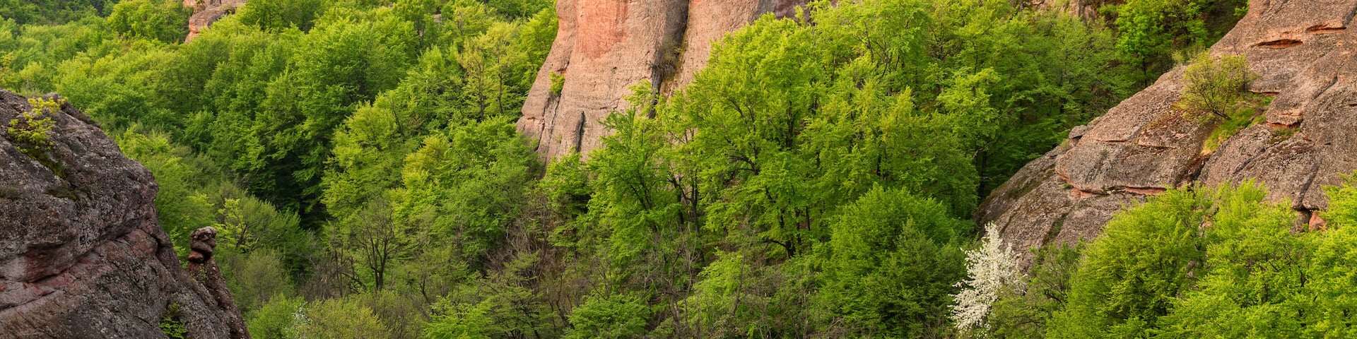 Belogradchik rocks
Magnificent morning view of the Belogradchik rocks, Bulgaria.
