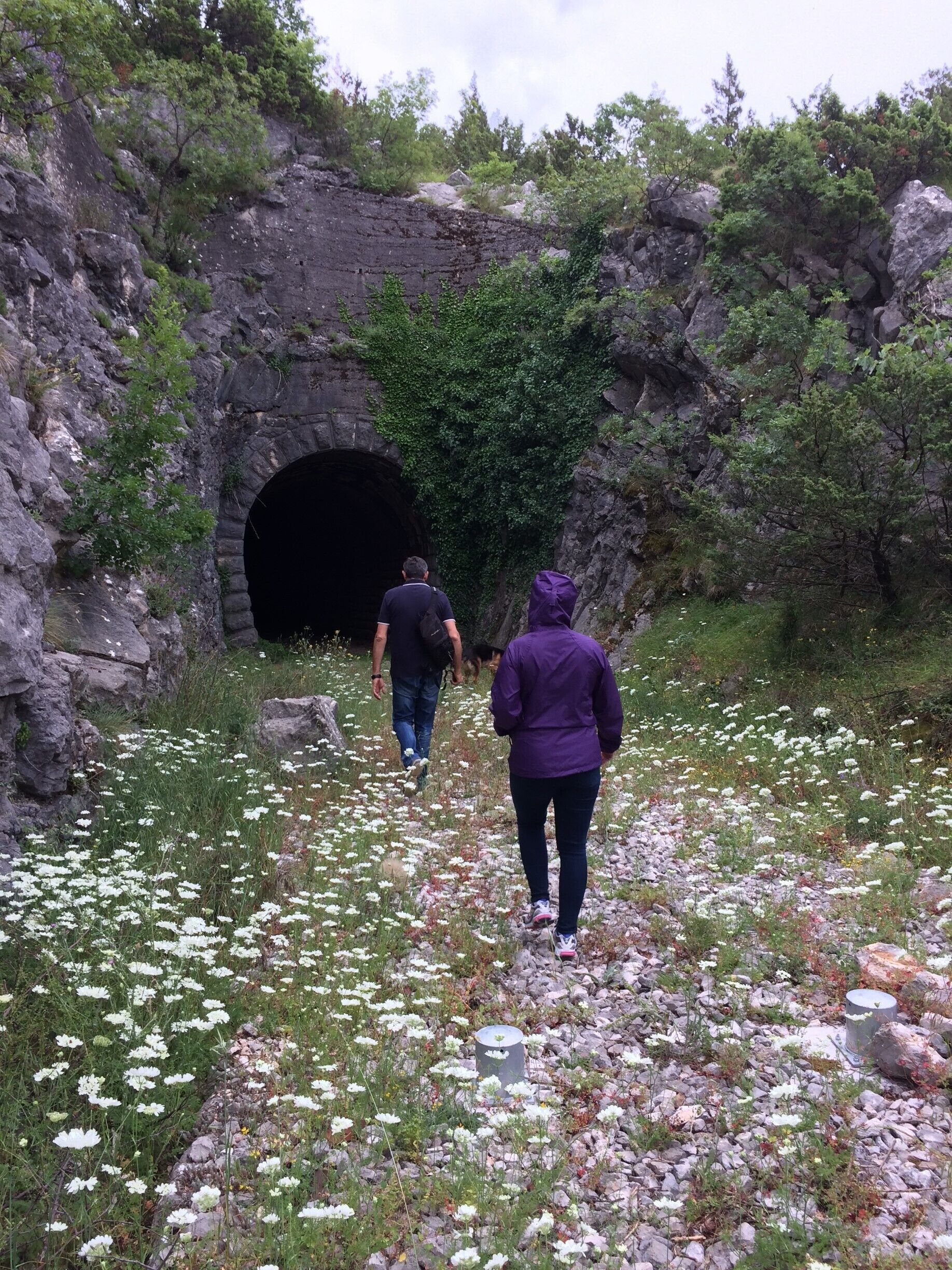 A rocky path leading to a tunnel entrance surrounded by greenery and white flowers.