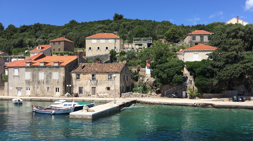 Fantastic little islands along the coast of Croatia that have little villages and old cloisters located on them. Croatia is fantastic to discover by boat. This island was very close to Dubrovnik. #EndlessSummer #Green