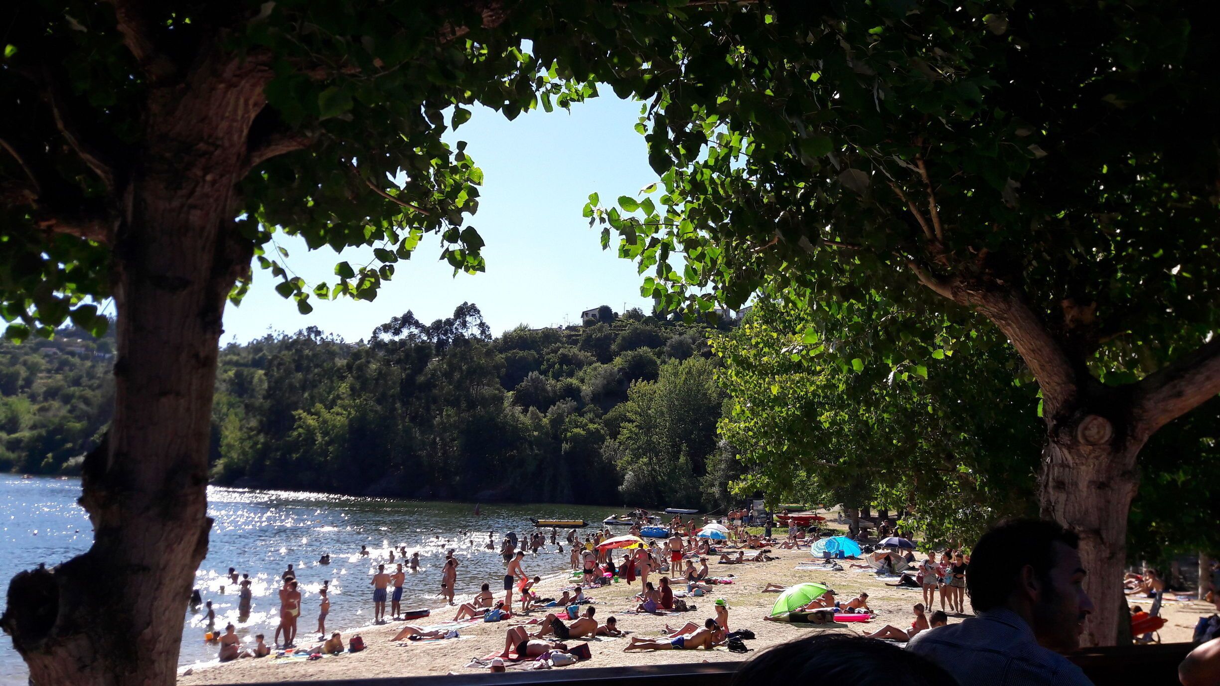 A crowded beach with people sunbathing and swimming, surrounded by trees and a lake.