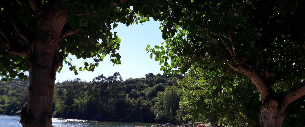 A crowded beach with people sunbathing and swimming, surrounded by trees and a lake.