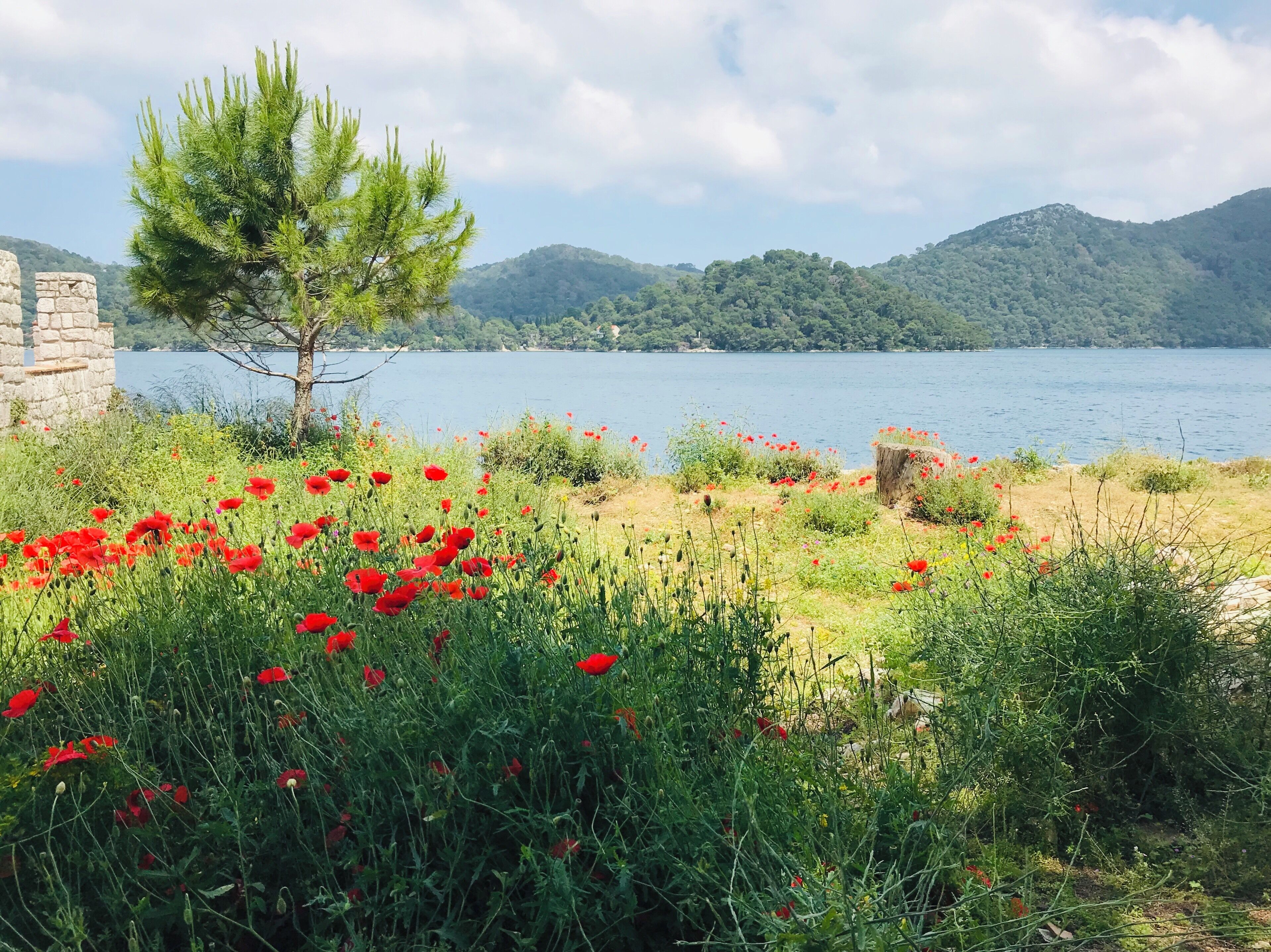 A lake surrounded by mountains, with a stone structure and a pine tree in the foreground.