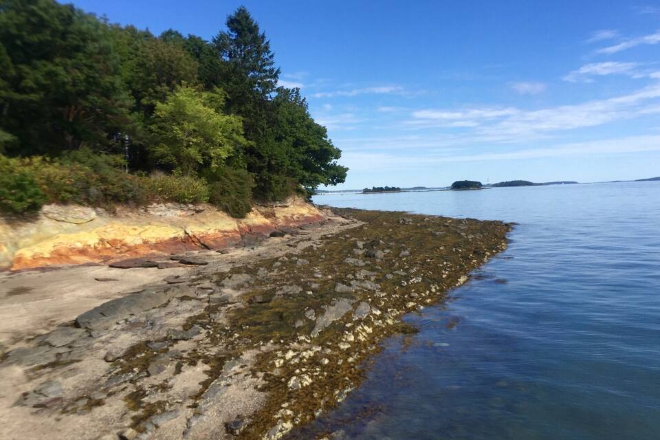 Uma costa rochosa com águas cristalinas, árvores densas e ilhas ao longe.