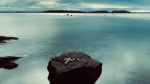 Beautiful day in March