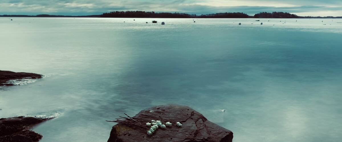 Beautiful day in March