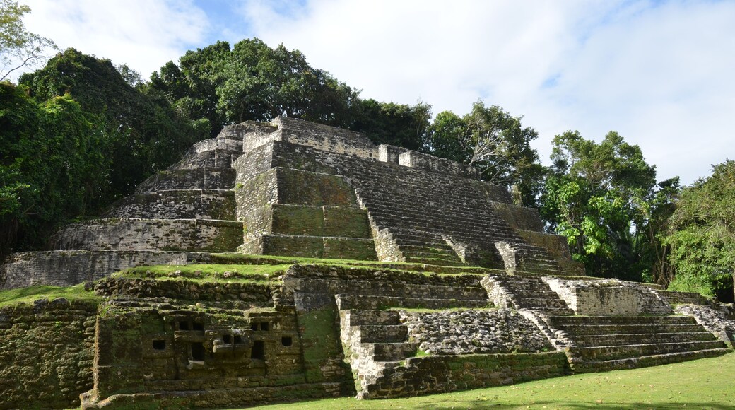 A large ancient pyramid with multiple levels and a surrounding forest.