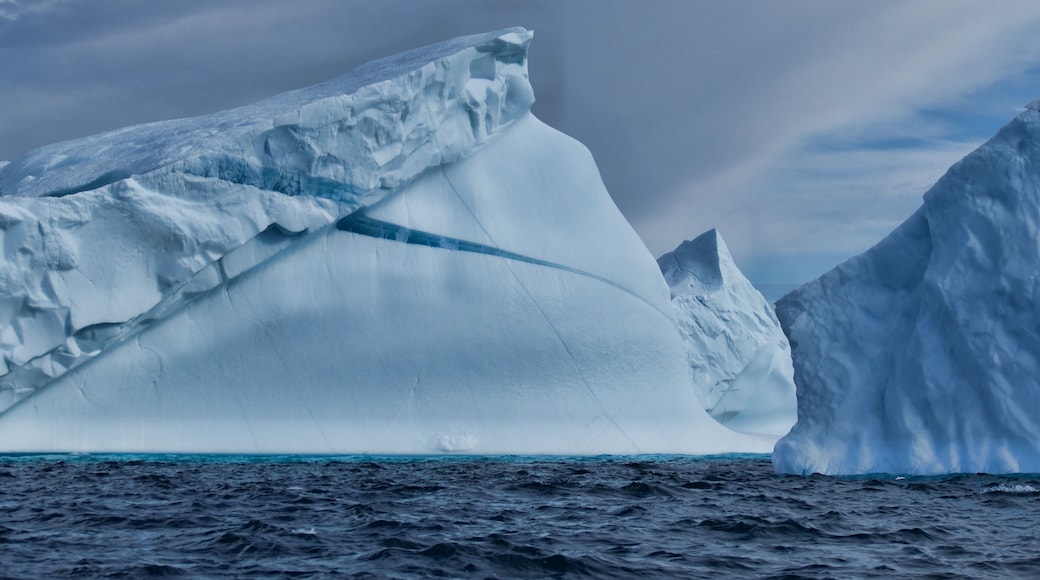 ์ผ์ดํ ์ํฌ