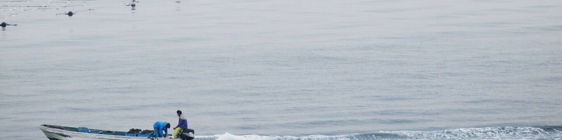 Myōjinyama Morozaki, Minamichita-chō, Chita-gun, Aichi-ken 470-3503, Japan