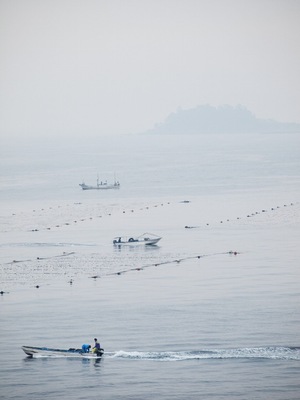 Myōjinyama Morozaki, Minamichita-chō, Chita-gun, Aichi-ken 470-3503, Japan