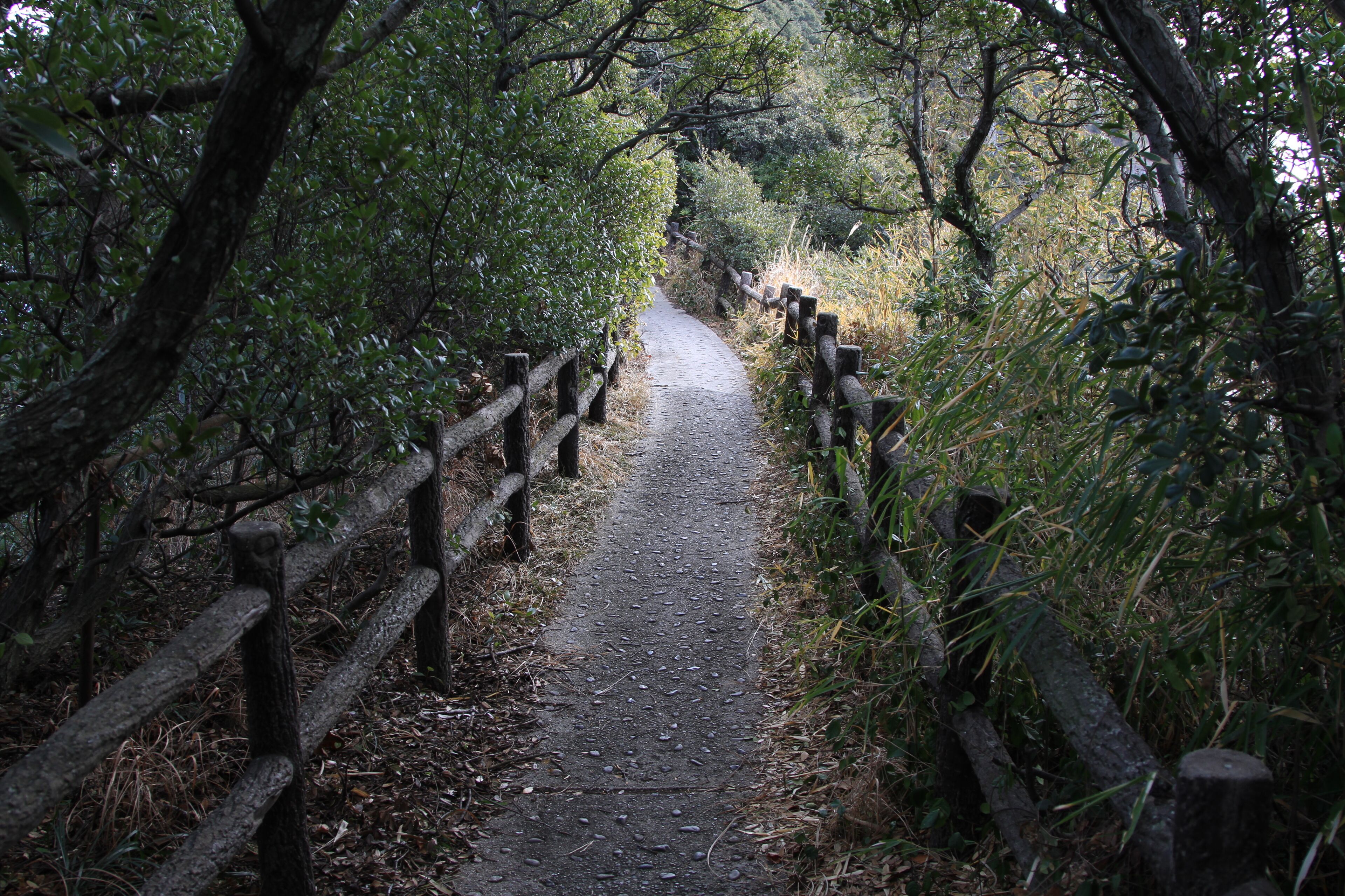 愛知県知多郡南知多町師崎