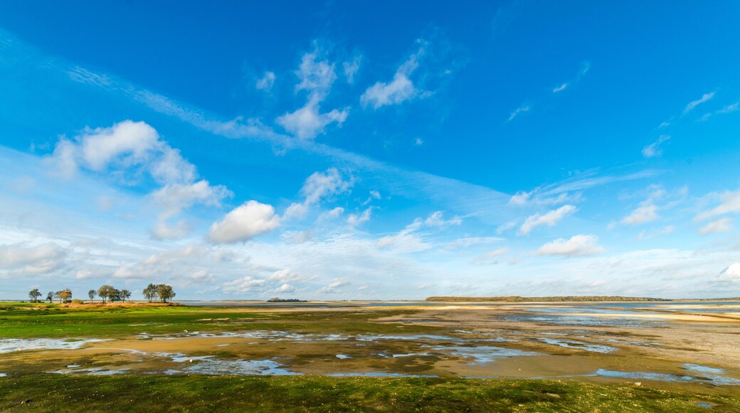 Giffaumont-Champaubert