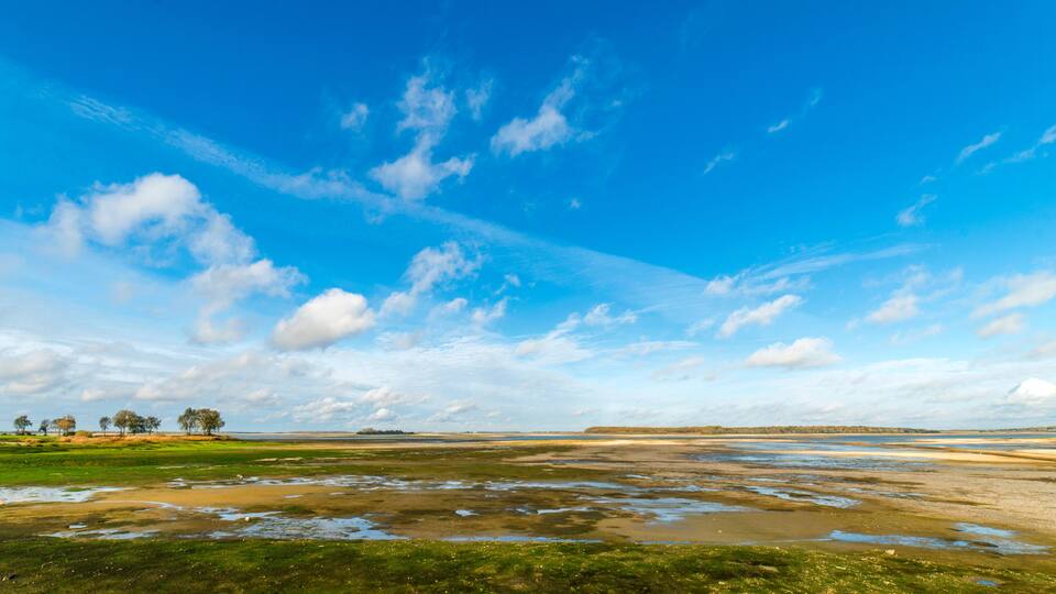 A coastal landscape with a clear sky, green fields, and a distant tree line.