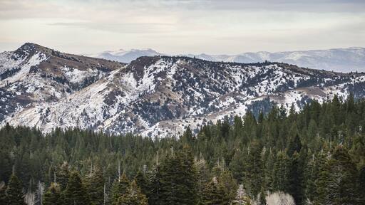 Cedar Pass After A Small Snow Storm, Warner Mountains Range With Nevada's Hayes Range In The Background; California, United States Of America