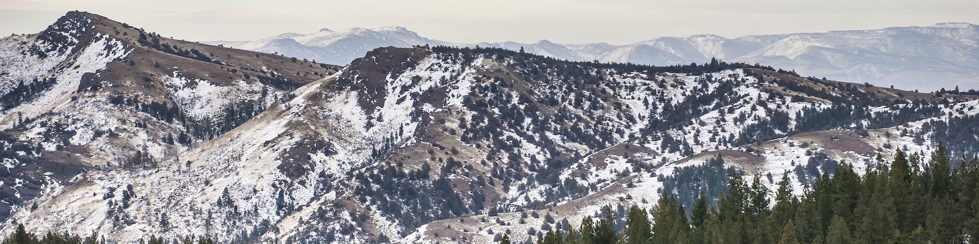 Cedar Pass After A Small Snow Storm, Warner Mountains Range With Nevada's Hayes Range In The Background; California, United States Of America