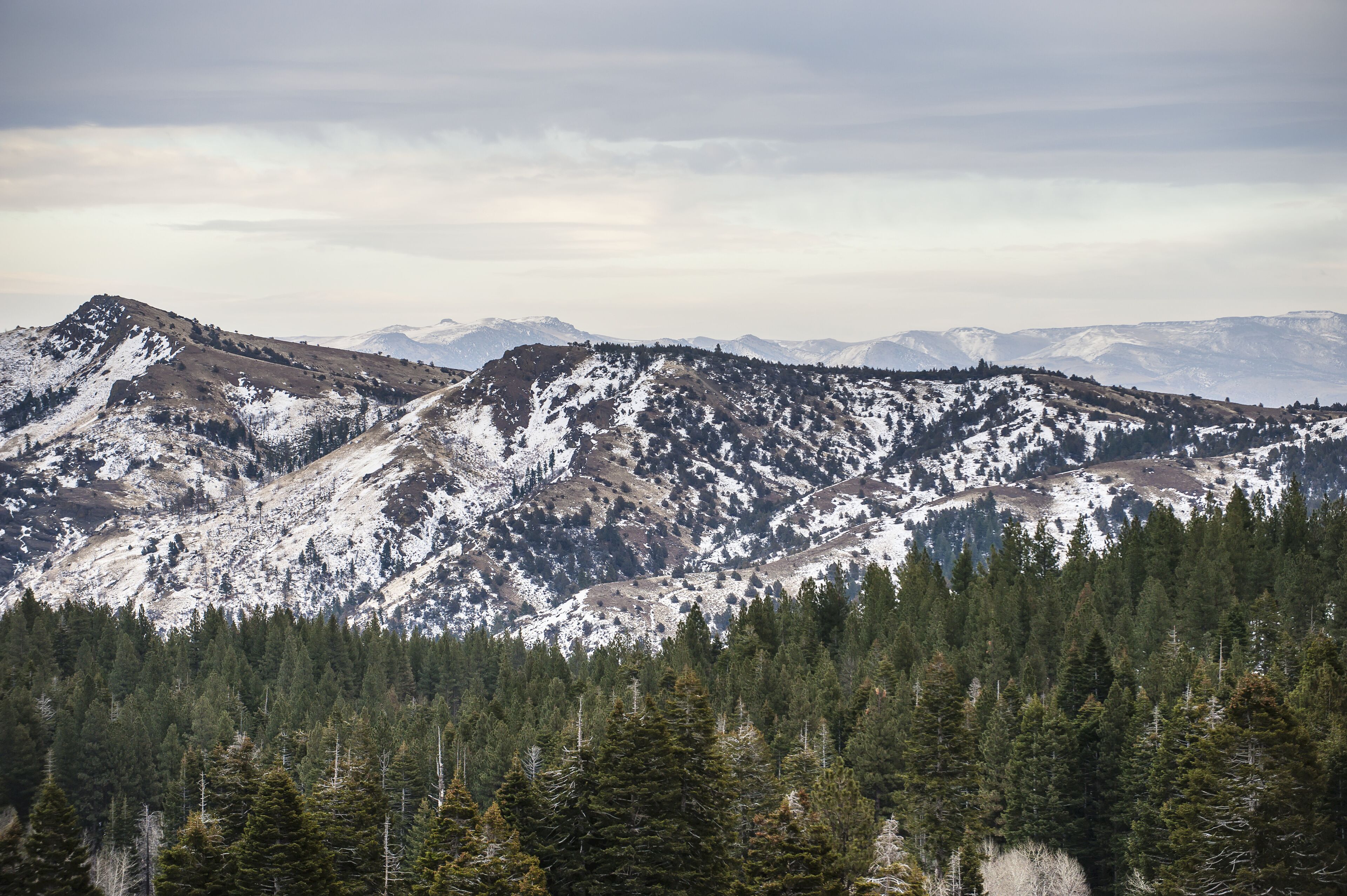 A snow-covered mountain range with dense forests at the base.