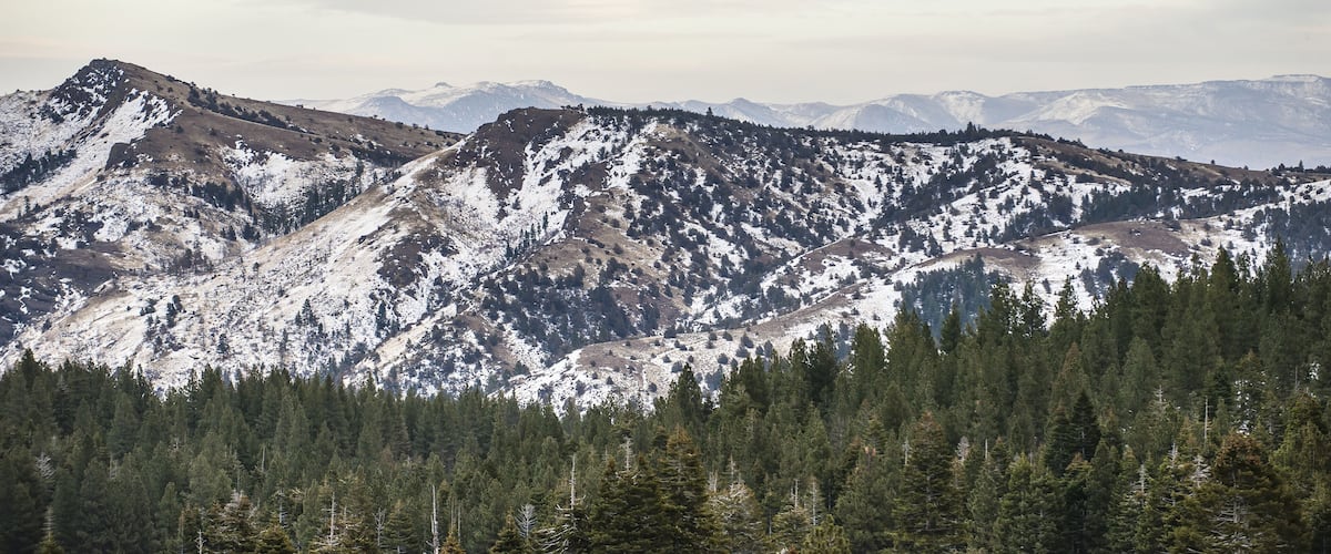 A snow-covered mountain range with dense forests at the base.