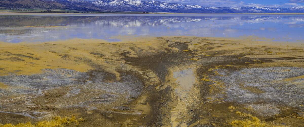 A delta on Middle Alkali Lake east of Cedarville, California.