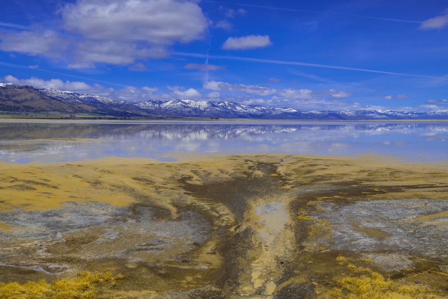 A delta on Middle Alkali Lake east of Cedarville, California.