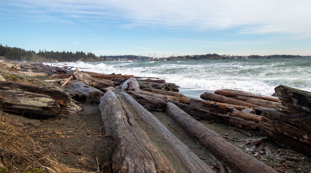 Driftwood on the beach and big waves in the Salish Sea at Coburg Peninsual near Victoria, British Columbia, Canada