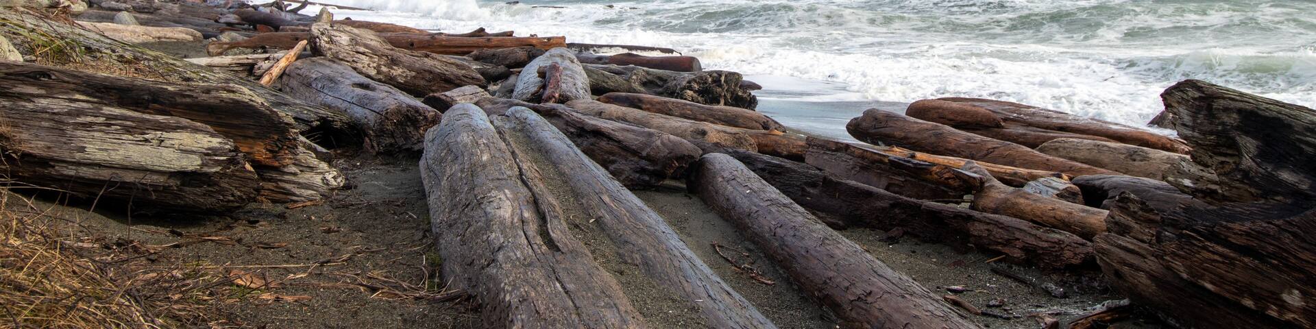 Driftwood on the beach and big waves in the Salish Sea at Coburg Peninsual near Victoria, British Columbia, Canada