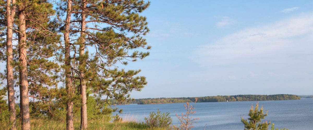 A lake surrounded by tall pine trees and grassy areas.