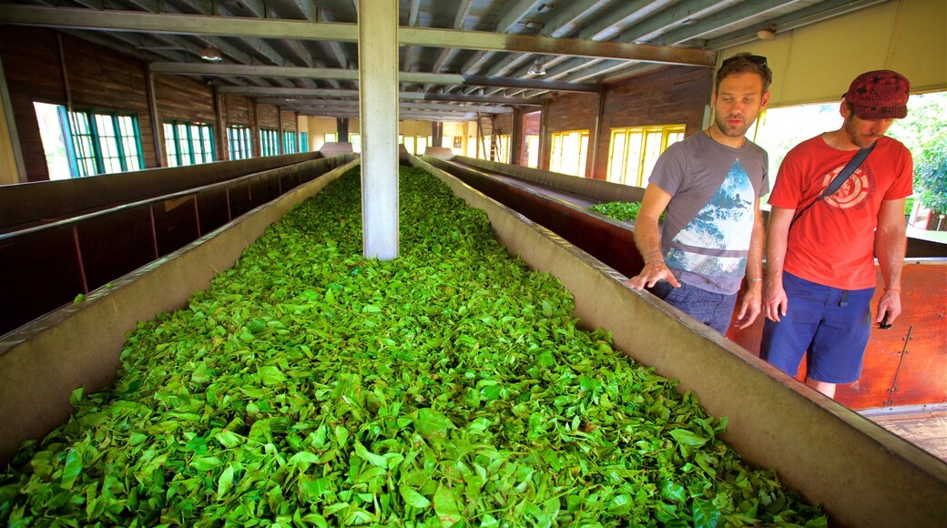 Ella featuring farmland as well as an individual male