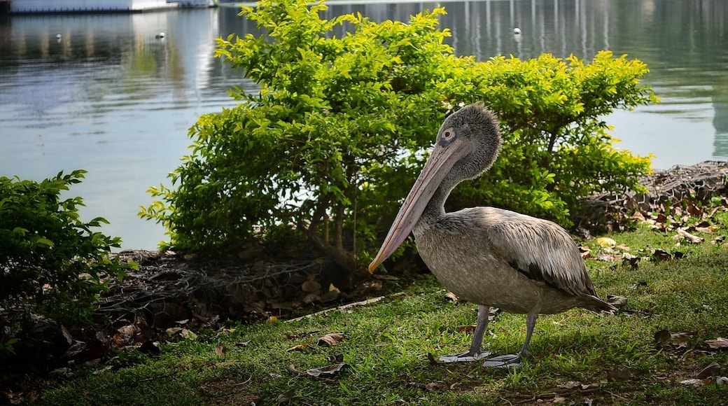 #winter is the time to be there. #winterwonders