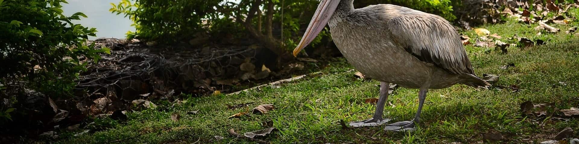 #winter is the time to be there. #winterwonders