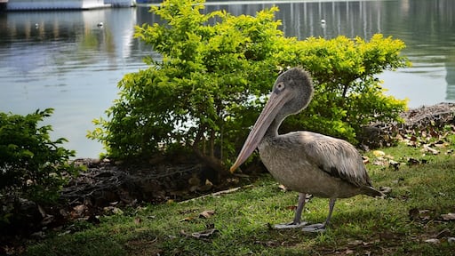 #winter is the time to be there. #winterwonders