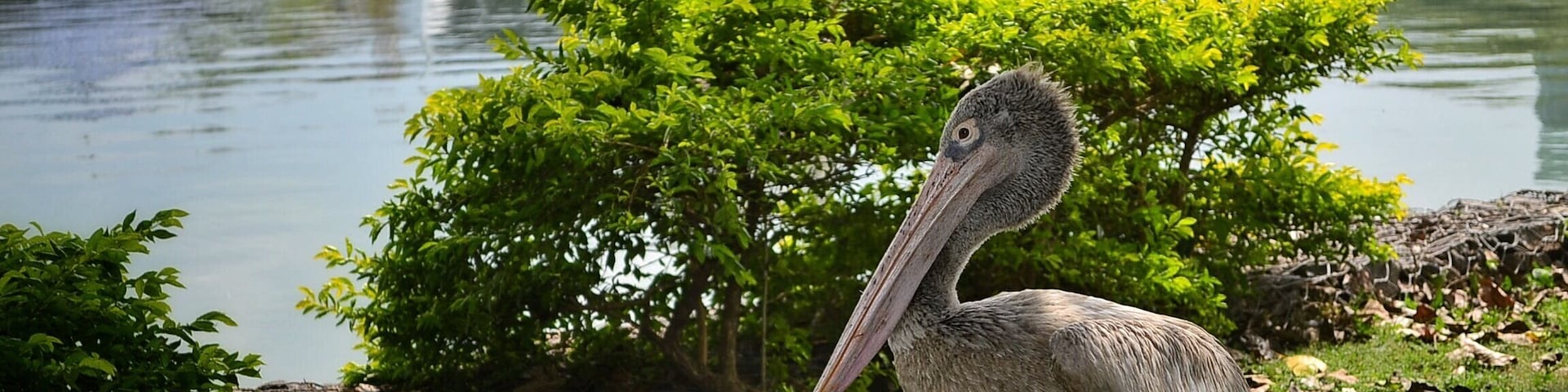 #winter is the time to be there. #winterwonders