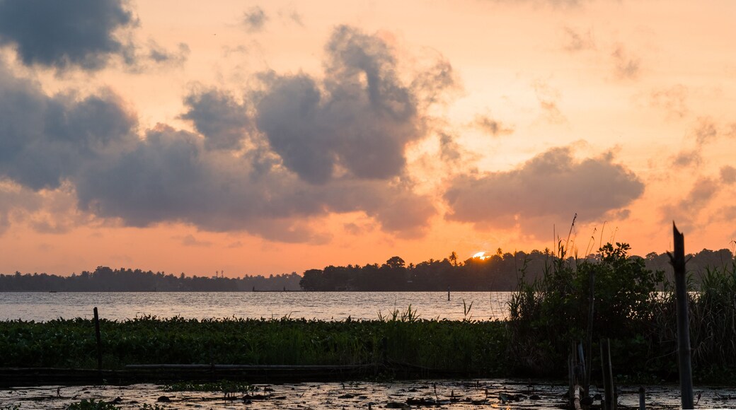 Sunset over a tropical lake with lotus flowers