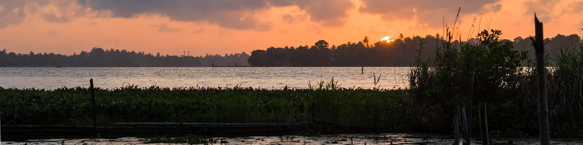 Sunset over a tropical lake with lotus flowers