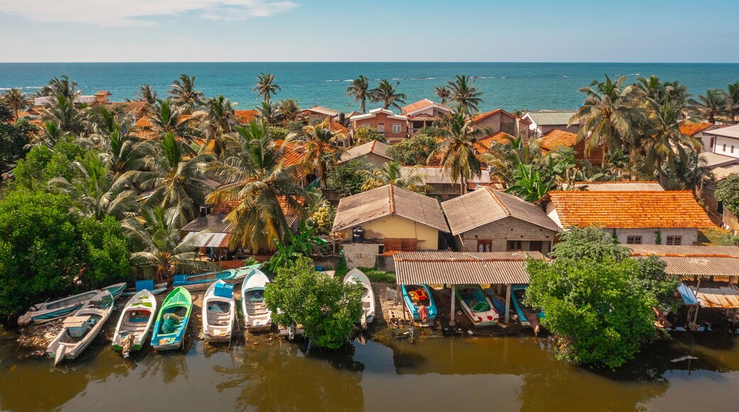 Aerial view of houses on the shoreline in Negombo. Negombo is a city on the west coast of Sri Lanka