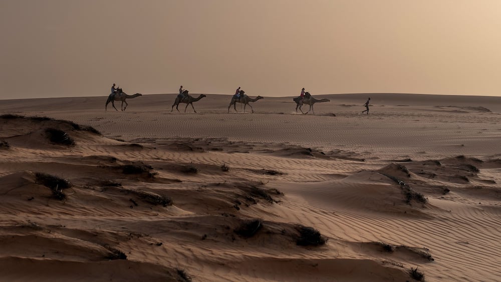 Paseo en camello por las dunas doradas en el Desierto de Lompoul, cerca de Saint Louis , SENEGAL al atardecer.