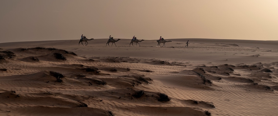 Paseo en camello por las dunas doradas en el Desierto de Lompoul, cerca de Saint Louis , SENEGAL al atardecer.