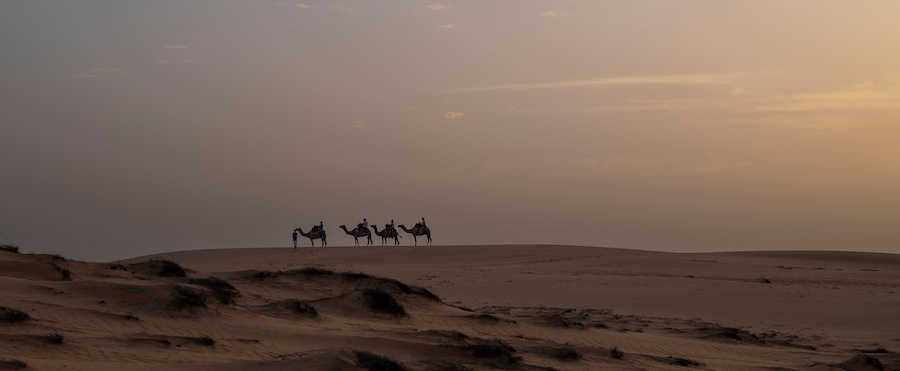 Paseo en camello por las dunas doradas en el Desierto de Lompoul, cerca de Saint Louis , SENEGAL al atardecer.