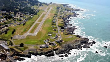 Vista aérea de uma área costeira com pista de pouso, casas e costa rochosa.