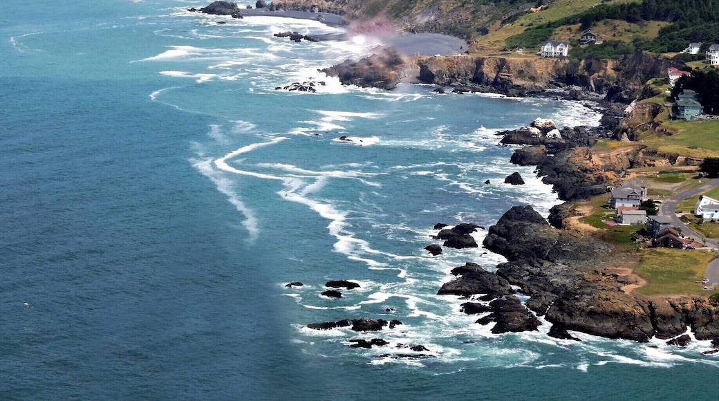 Shelter Cove Lost Coast Trail