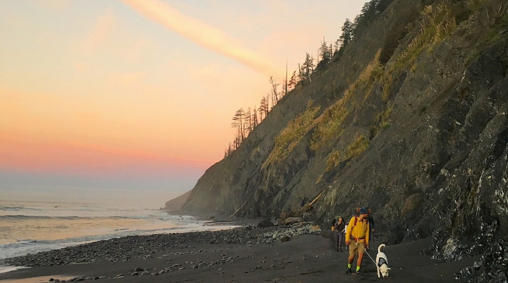 calm mornings watching the sunrise along the Lost Coast trail #lifeatexpedia