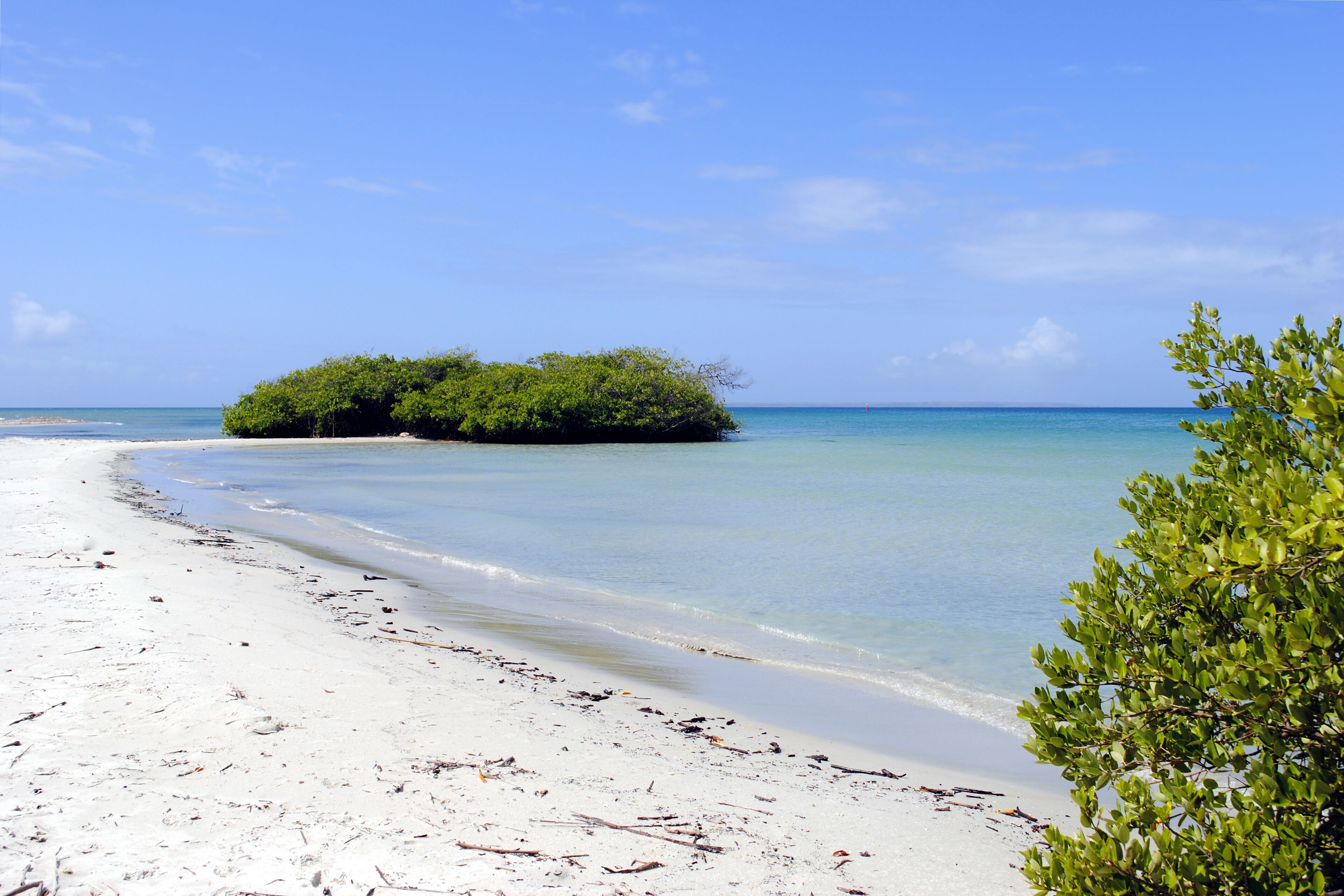 A sandy beach with clear turquoise water, a small island with dense green foliage, and a clear blue sky.
