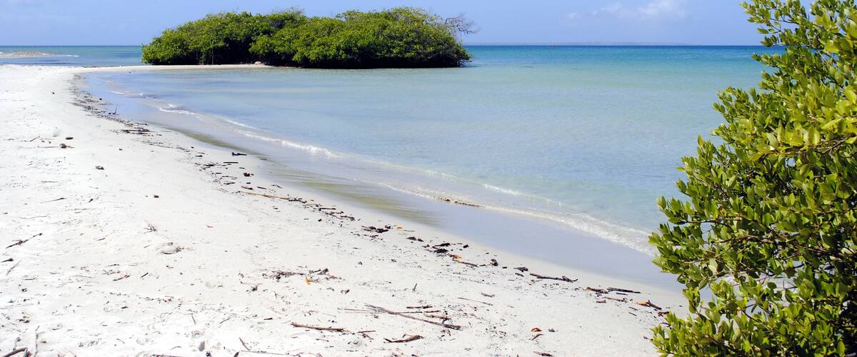A sandy beach with clear turquoise water, a small island with dense green foliage, and a clear blue sky.