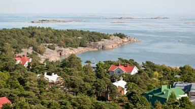 A coastal town with houses surrounded by dense forest, a rocky shoreline, and calm sea.